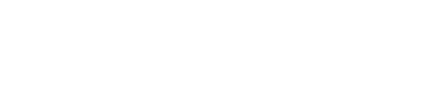 essoc no show socks logo